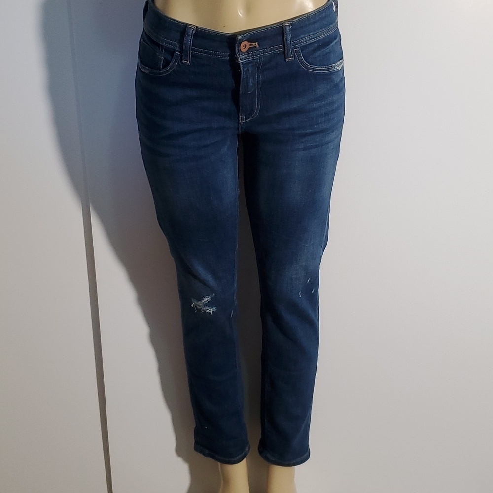 Anthropologie Pilcro Slim Boyfriend Blue Jeans Size 27